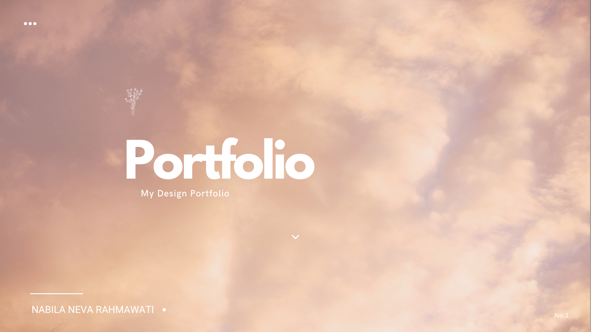 Portfolio 14